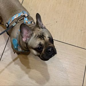 Meet your Posher, Alexia